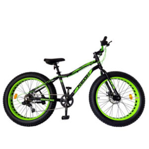 Bicleta Fat Bike